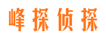 南陵峰探私家侦探公司